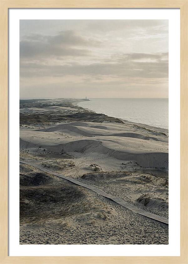 Dusk Over Curonian Spit Dunes