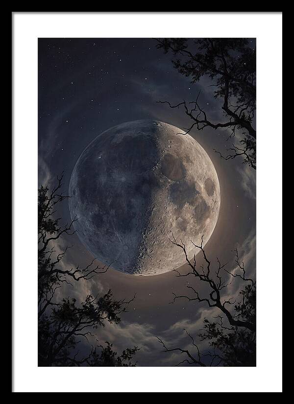 Earthshine Illuminating The Dark Side