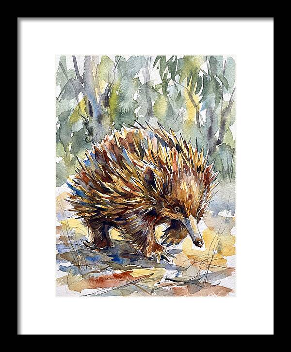 Echidna In Nature