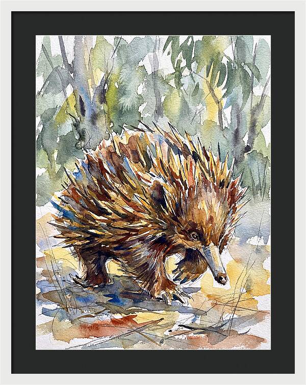 Echidna In Nature
