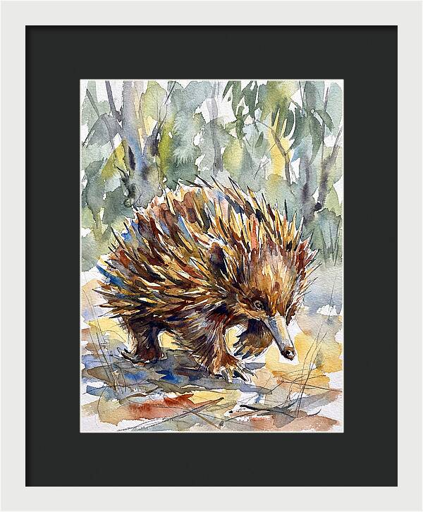 Echidna In Nature