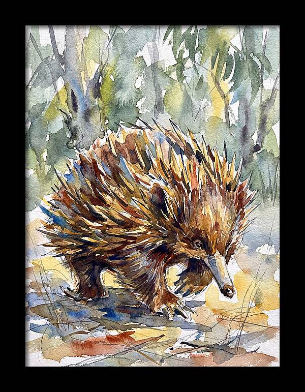 Echidna In Nature