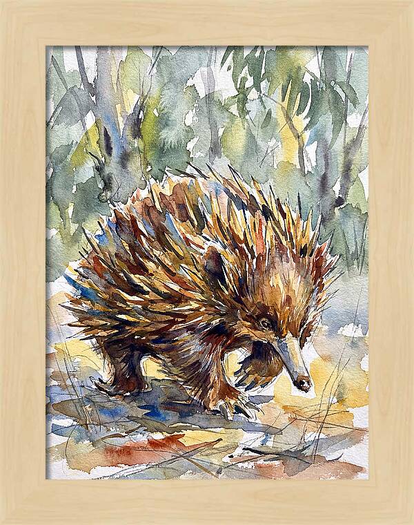 Echidna In Nature