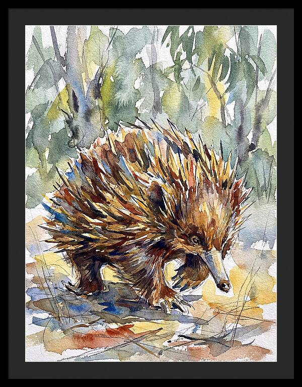 Echidna In Nature