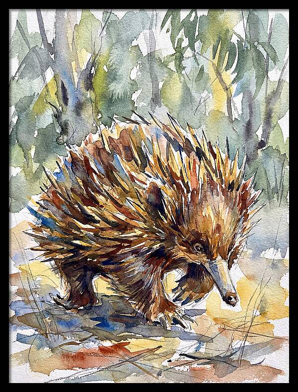Echidna In Nature
