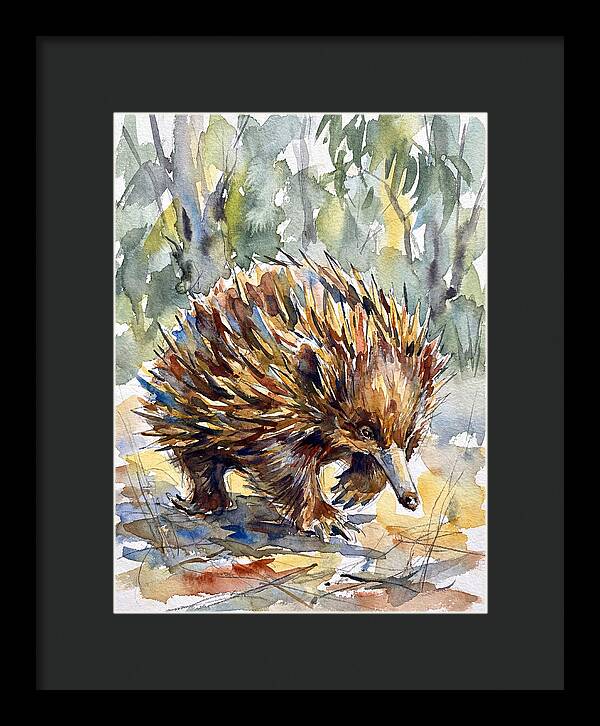 Echidna In Nature