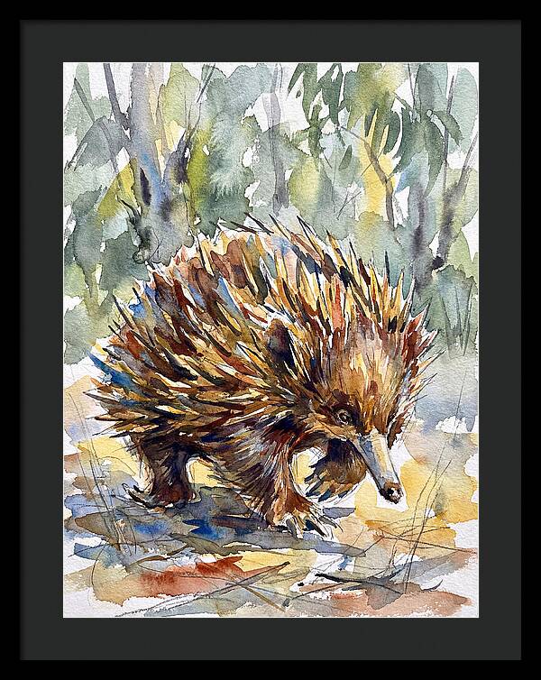 Echidna In Nature