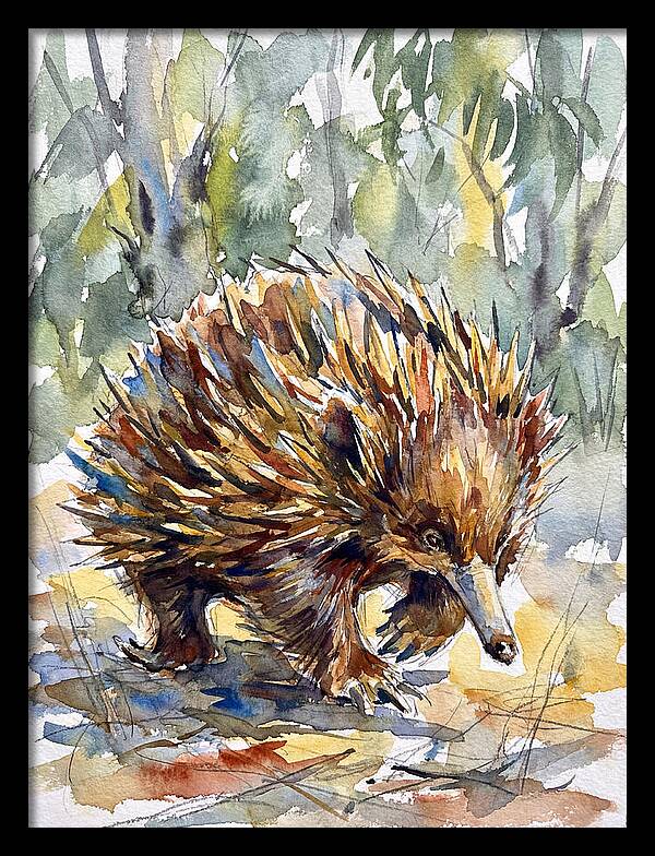 Echidna In Nature