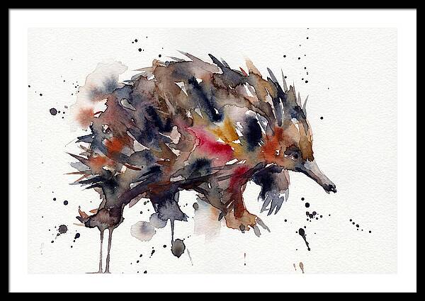 Echidna In Watercolor Splendor