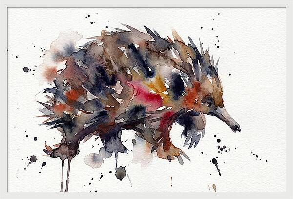 Echidna In Watercolor Splendor