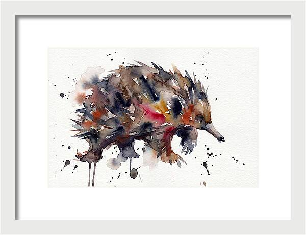 Echidna In Watercolor Splendor