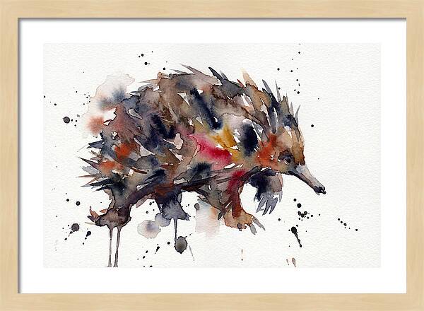 Echidna In Watercolor Splendor