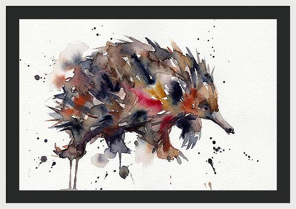 Echidna In Watercolor Splendor