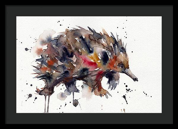 Echidna In Watercolor Splendor