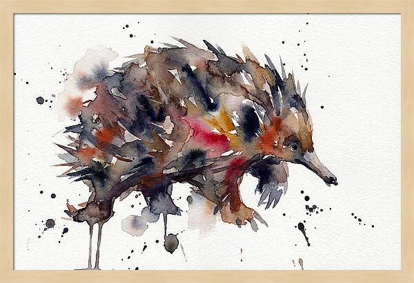 Echidna In Watercolor Splendor