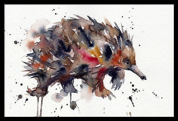 Echidna In Watercolor Splendor