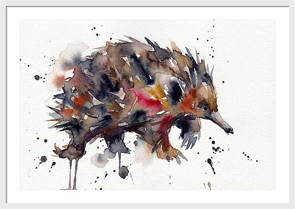 Echidna In Watercolor Splendor