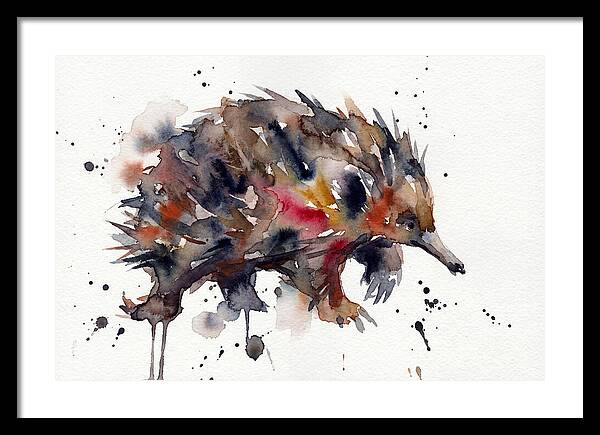 Echidna In Watercolor Splendor