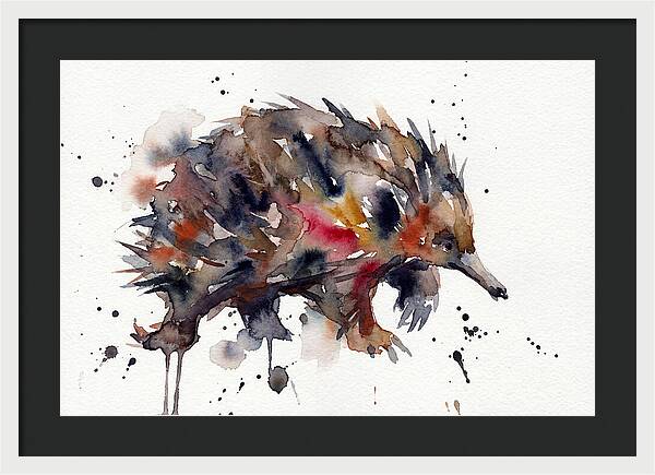 Echidna In Watercolor Splendor