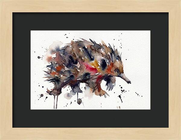 Echidna In Watercolor Splendor
