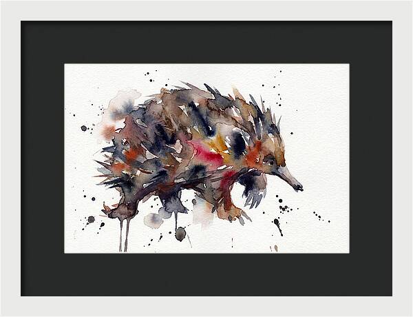 Echidna In Watercolor Splendor