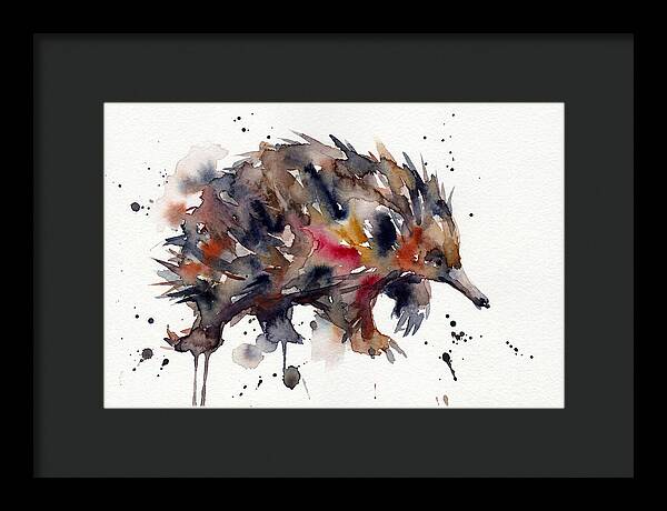 Echidna In Watercolor Splendor