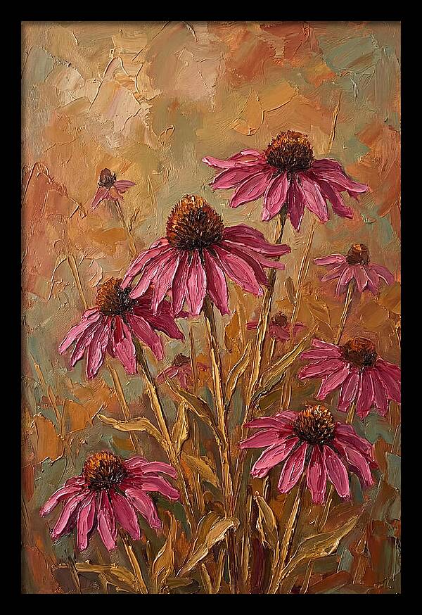 Echinacea Patch In Bloom