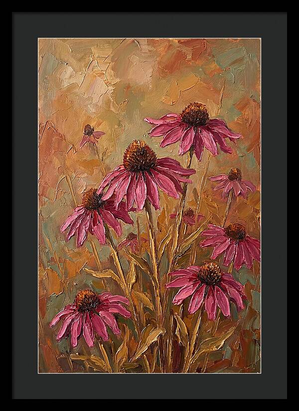 Echinacea Patch In Bloom