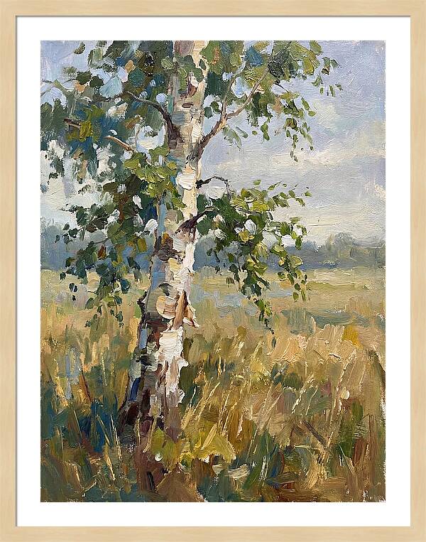 Echoes Among The Birch