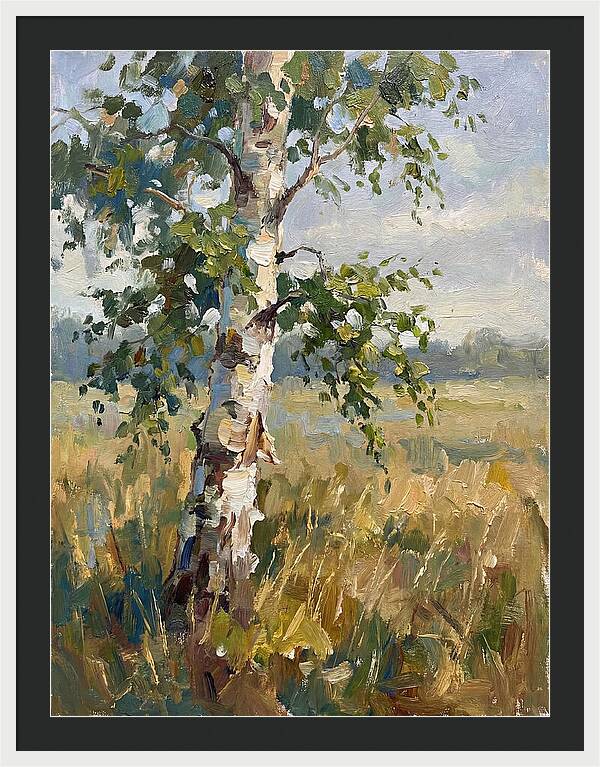 Echoes Among The Birch