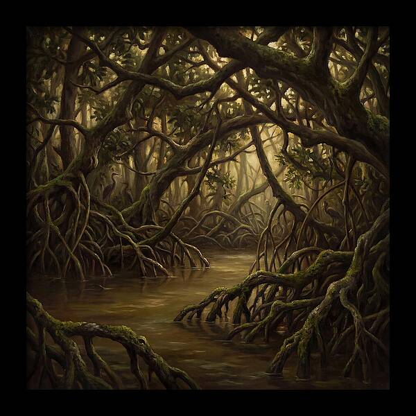 Echoes Among The Mangroves