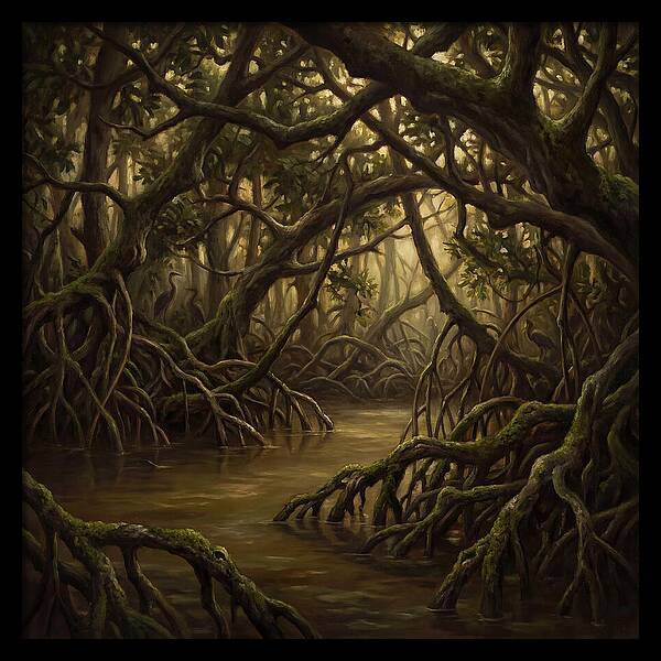 Echoes Among The Mangroves