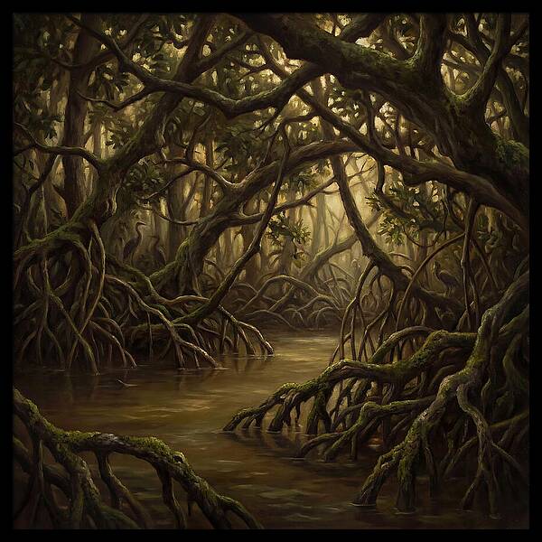 Echoes Among The Mangroves
