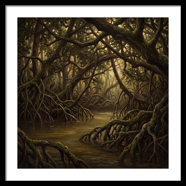 Echoes Among The Mangroves