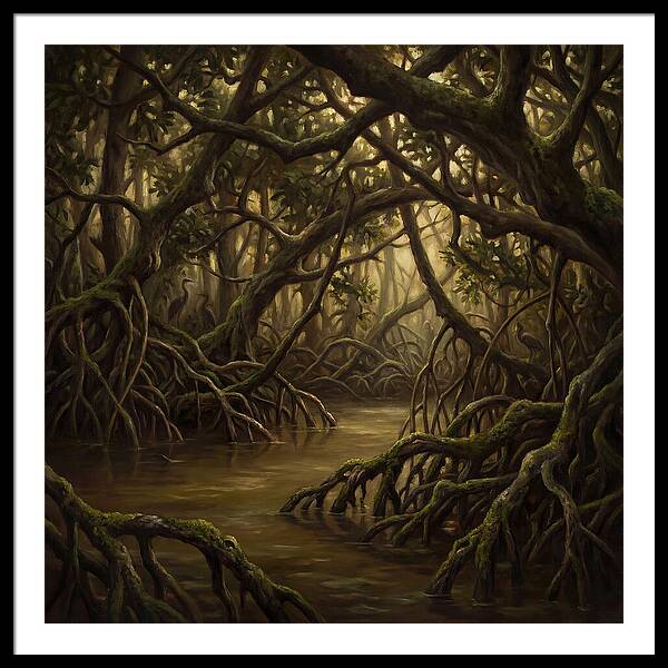 Echoes Among The Mangroves
