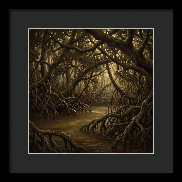 Echoes Among The Mangroves