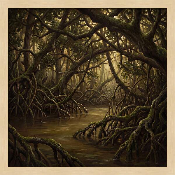 Echoes Among The Mangroves