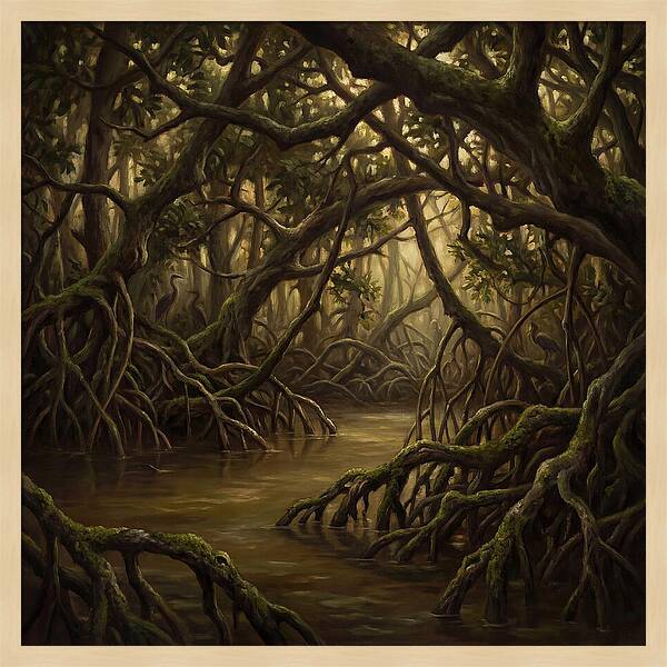 Echoes Among The Mangroves