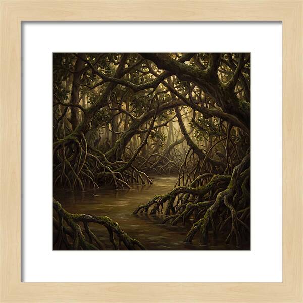 Echoes Among The Mangroves