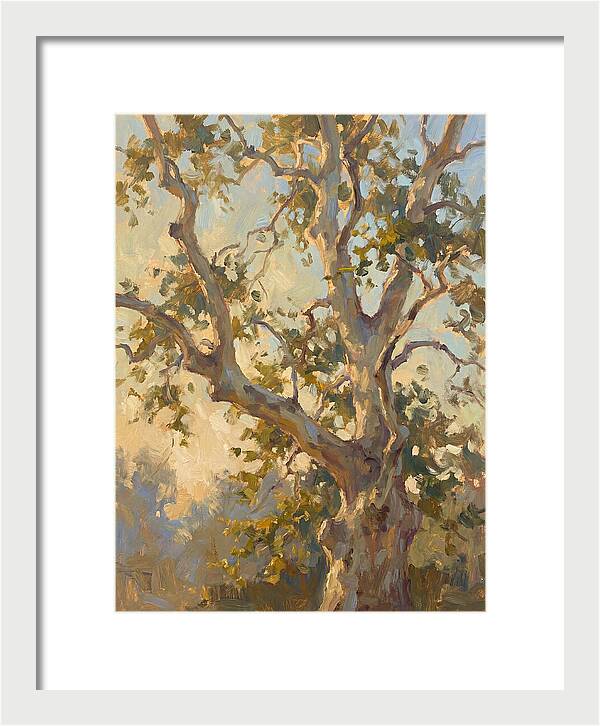 Echoes Beneath The Sycamore