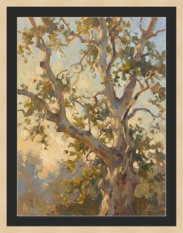 Echoes Beneath The Sycamore