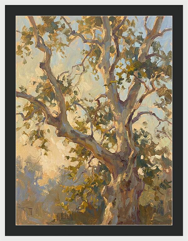 Echoes Beneath The Sycamore