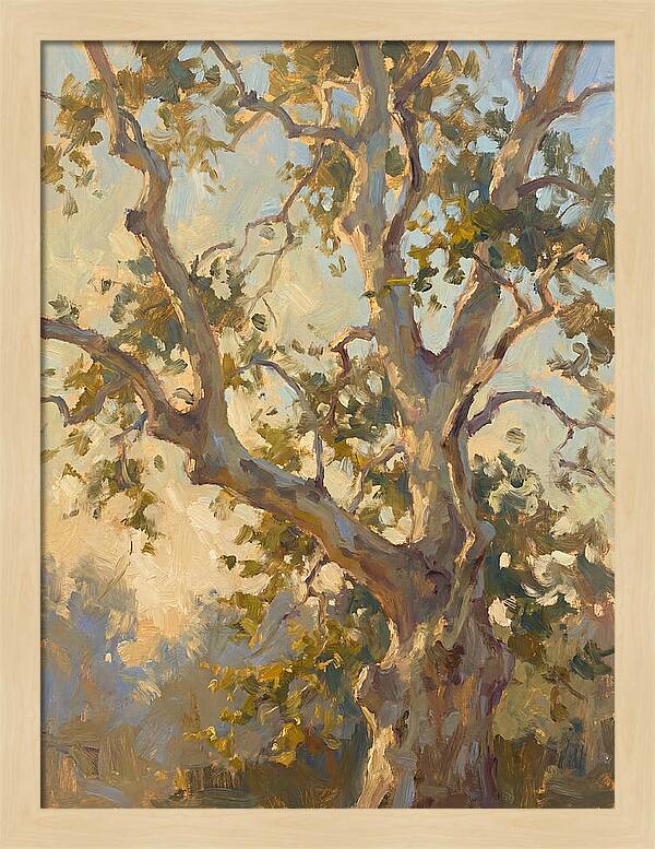 Echoes Beneath The Sycamore