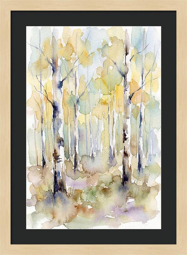 Echoes In The Aspen Forest