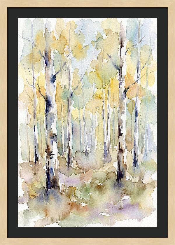 Echoes In The Aspen Forest