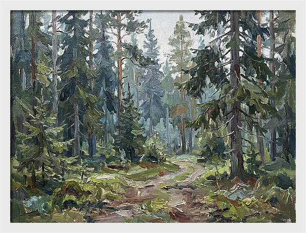 Echoes In The Enchanted Forest