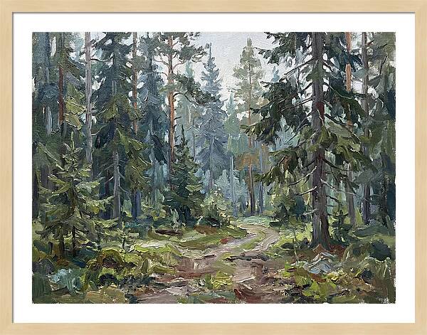 Echoes In The Enchanted Forest