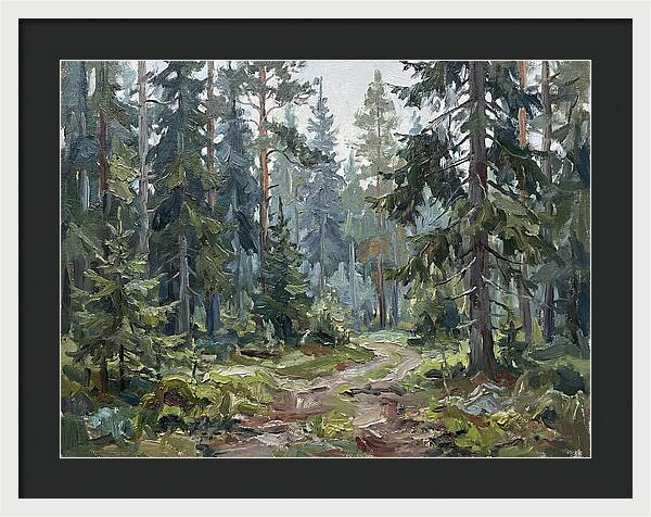 Echoes In The Enchanted Forest