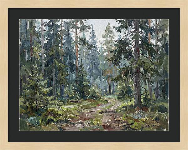 Echoes In The Enchanted Forest