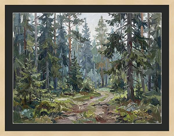 Echoes In The Enchanted Forest